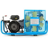 Compresor de Aire de 300 bar y 100L de Alta Presión para Buceo, Utilizado para Botellas de Aire y Compresores de GNC