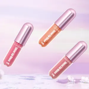 लिपस्टिक निजी लेबल Lipgloss होंठ चमक लंबे समय तक चलने निविड़ अंधकार रसदार Liptint लिपस्टिक