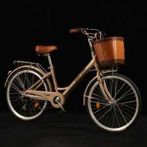 <span class=keywords><strong>Bicicleta</strong></span> <span class=keywords><strong>Urbana</strong></span> Económica de 24 Pulgadas con Cuadro de Acero de Alto Carbono de Una Sola Velocidad para <span class=keywords><strong>Mujer</strong></span> - Product Image 2