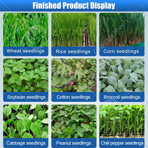 Contenedor Hidropónico Automatizado de Acero para Germinación de Cebada y Frijoles, para Producción Comercial de Forraje Verde, Marca ORME - Product Image 6