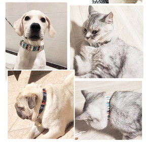 <span class=keywords><strong>Collar</strong></span> de gato personalizado, diseño múltiple, ajustable, fabricante, venta al por mayor - Product Image 4