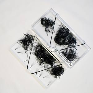 Promade 14D Volume Fan Extensiones de pestañas prefabricadas Stock Tallo largo suelto 0,03 0,05 0,07 B C D L M - Product Image 6