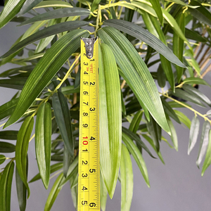 <span class=keywords><strong>Bambou</strong></span> artificiel en plastique pour décor <span class=keywords><strong>de</strong></span> jardin, taille personnalisée, vente en gros, - Product Image 5