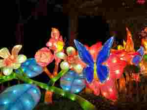 Lanternes de fleurs décoratives de spectacle de lumière chinoise Lanterne de champignon extérieure - Product Image 2