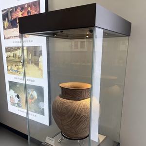 Vitrina de Vidrio Económica BX para Museo, Biblioteca y - Product Image 3