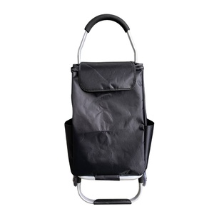 <span class=keywords><strong>Chariot</strong></span> de <span class=keywords><strong>courses</strong></span> pliable Q de haute qualité pour escaliers, marque PLD, avec tube en fer et placage électrique, modèle PLD-BDE07 - Product Image 6