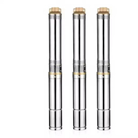 Pompe solaire submersible personnalisée 1300W 4 pouces en acier inoxydable avec moteur AC/DC PMSM et MPPT pour l'irrigation agricole