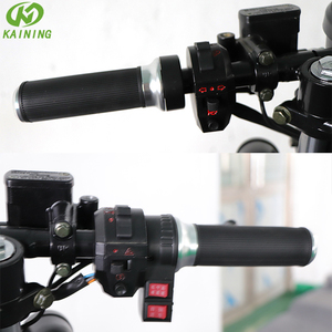 Motocicletta Elettrica 2000W con Pneumatici Larghi, Stile Retrò, Batteria agli Ioni di Litio Rimovibile, Supporto OEM - Product Image 2