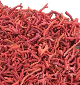 Detritus <span class=keywords><strong>Corallium</strong></span> japonicum, 50 gramos, 100% natural, Coral rojo, piezas pequeñas para hierbas - Product Image 1