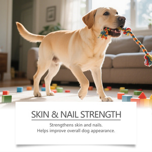 Gouttes de collagène pour chiens avec acide hyaluronique et biotine 60 ml – Soin quotidien pour le confort articulaire – Complément pour toutes les saisons – Nouvel An - Product Image 4