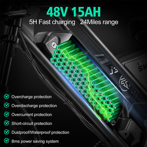 2024 gran <span class=keywords><strong>oferta</strong></span> bicicleta eléctrica neumático grande 48V 20 pulgadas triciclos eléctricos 7 velocidades Ebike El Bike bicicleta eléctrica - Product Image 5