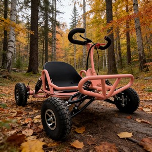 Go-Karts Profesionales para Entretenimiento de Adultos, Go-Karts Divertidos para Adultos para Parques Recreativos - Product Image 4