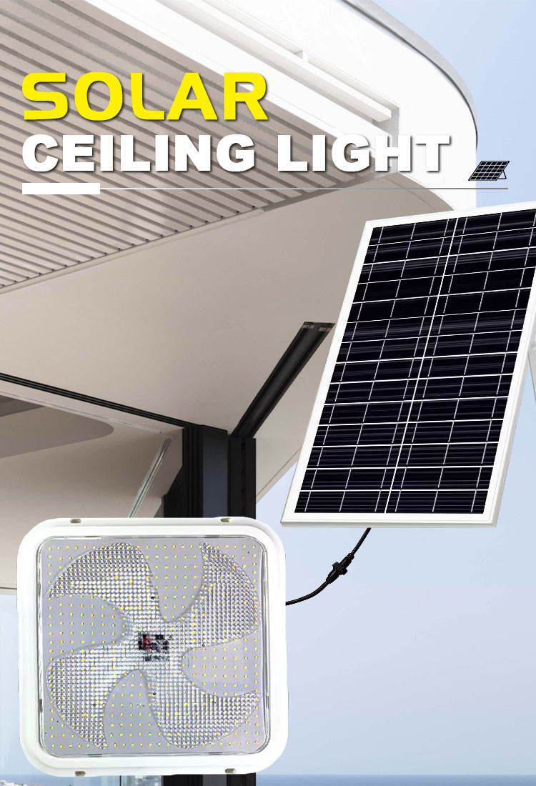 ceiling lights trellis