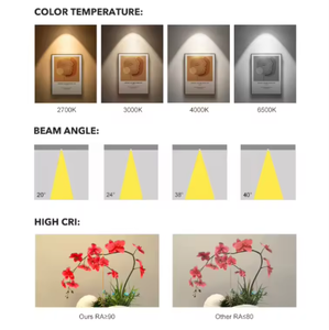 Lumières LED intelligentes encastrées de haute qualité, approuvées <span class=keywords><strong>par</strong></span> Saa, avec <span class=keywords><strong>variateur</strong></span> d'intensité, spot rond, cadre de plafond sans cadre, 55 mm - Product Image 4