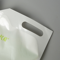 Sacs d'emballage en Mylar avec bec verseur, personnalisables, recyclables, en PE, 1L, 3L, 5L, pour huile moteur de voiture, gel, étanches, avec poignée