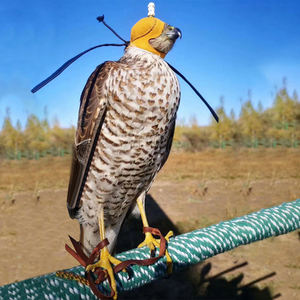 Capucha de cetrería de cuero artificial personalizada de varios tamaños Sombrero de halcón Capuchas de Águila - Product Image 4