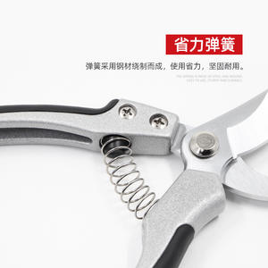 กรรไกรตัดแต่งกิ่งบาซิล บายพาส รุ่น 106 ใบมีดพรีเมียม SK5 ขนาด 20-30 มม. สีเทา อุปกรณ์ทำสวน - Product Image 1