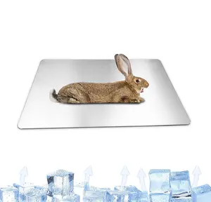 Fabrika toptan tavşan soğutma pedleri evcil hayvan serinletme plaka Hamster buz Mat evcil hayvan serinletme buz yatak alüminyum yaz paspaslar tavşan Hamster