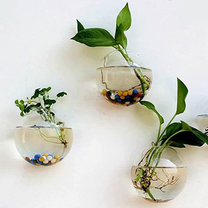 Vente en gros de jardinières murales, terrariums en verre, globes oblates, contenants pour plantes, pour la propagation hydroponique et la culture aérienne - Product Image 3