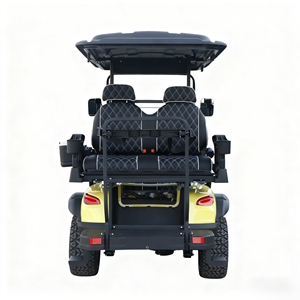 รถกอล์ฟ TONGCAI ดีไซน์ใหม่ 2 ที่นั่ง น้ำหนักเบา ขับขี่ง่าย ความเร็วต่ำ - Product Image 3