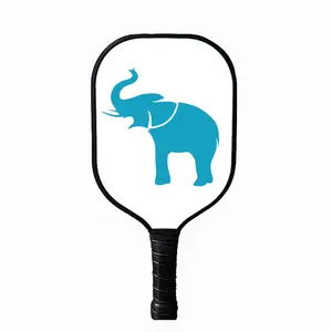 Pickleball Paddle Racket Thermoformed Groothandel Augurk Bal Custom Logo Ruw Koolstofglas Fiber Pickleball Paddle