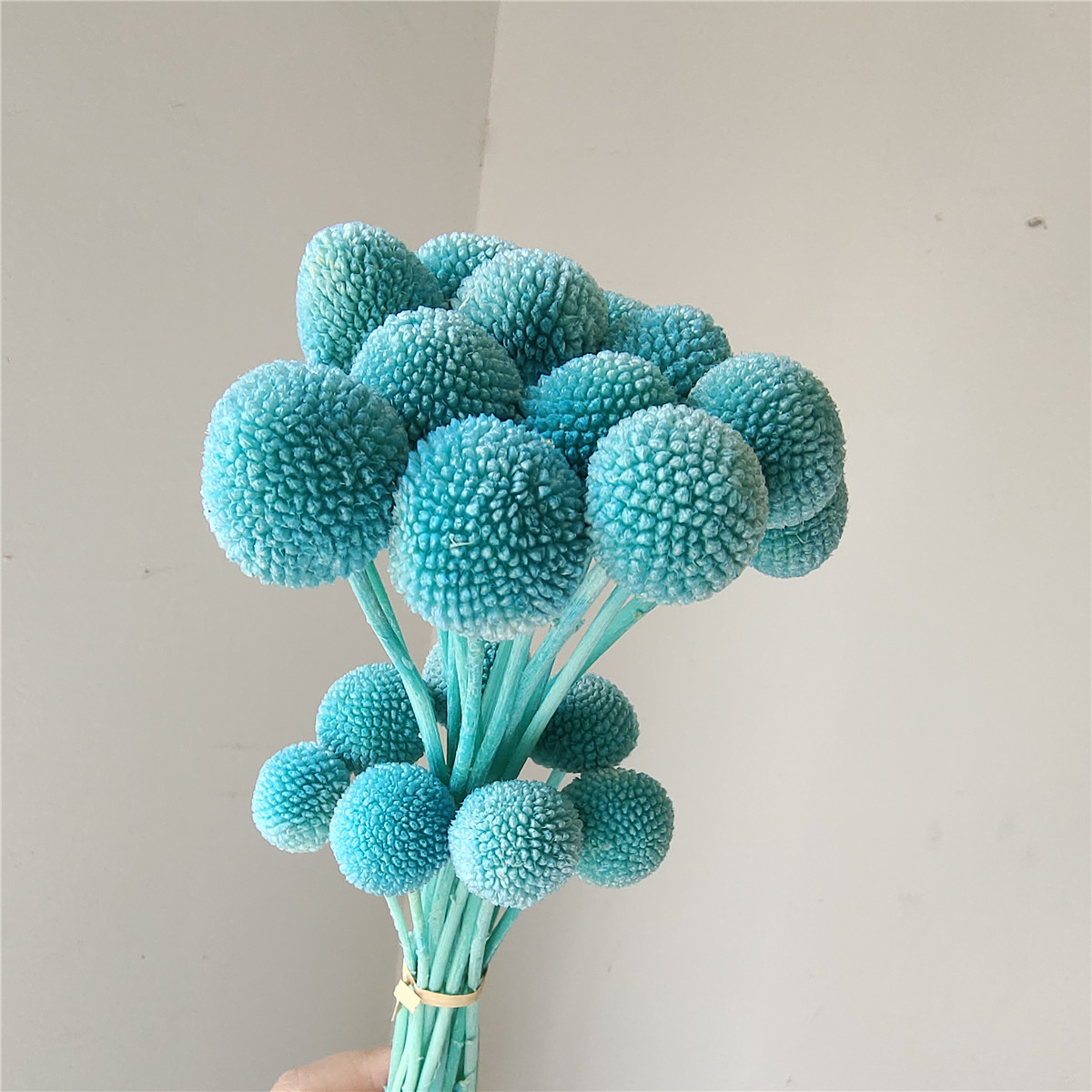Nylon bleu