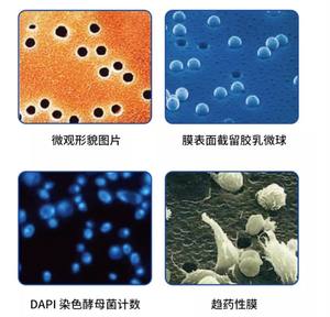 Waterman policarbonato su scala nanometrica PCTE membrana PC diametro 19mm/25mm/47mm membrana nucleare poro dimensione 0.015 ~ 10μm - Product Image 6