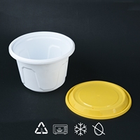 Grands récipients jetables de qualité alimentaire pour bol de nourriture à usage unique Boîte à lunch en plastique pour restaurant