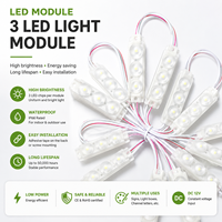 Módulo de Luz LED de 3 Colores Personalizado para Aplicaciones Decorativas y Publicitarias