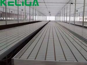 Thiết bị nông nghiệp phát triển bảng dây lưới seedbed nhà kính băng ghế lăn - Product Image 2