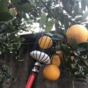 Ruit-Juego de llantas de acero inoxidable para el hogar, kit de herramientas de cocina de ocho pulgadas, de diferentes colores - Product Image 4