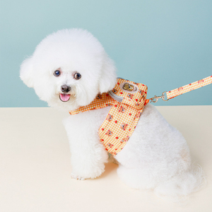 Harnais pour Teckel, Accessoires, Corde de traction personnalisée, Harnais pour animaux de compagnie, Laisse pour <span class=keywords><strong>chien</strong></span>, Sac à dos, <span class=keywords><strong>Mini</strong></span> sacoche, Collier de poitrine pour <span class=keywords><strong>chien</strong></span> Teddy - Product Image 3