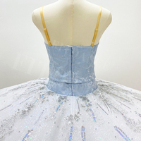 T0968 jupe à motifs argentés bleu clair pour enfants adultes service personnalisé vêtements de danse de scène tutu de ballet professionnel
