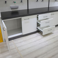 Banc mural de laboratoire directement en gros avec évier table de travail de laboratoire armoire suspendue