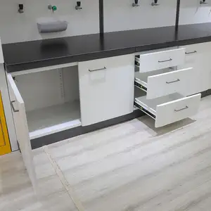 Factory Directly Wholesale Lab Wall Bench With Sink Laboratory Work Table Hanged Cabinet