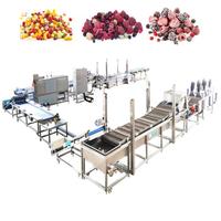 Industriële Bevroren Fruit Maken Machine Verwerkingslijn Vers Fruit Wassen Peeling Coring Snijden Snijden Iqf Vriesmachine