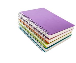 2024 PP cover A5 B5 a <span class=keywords><strong>spirale</strong></span> Notebook Planner quotidiano notebook <span class=keywords><strong>con</strong></span> coperchio <span class=keywords><strong>in</strong></span> <span class=keywords><strong>plastica</strong></span> produttore - Product Image 5