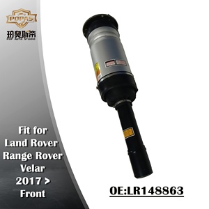 Vendas do Fabricante OE LR148863 Especificação Original Amortecedor de Suspensão a Ar Dianteiro de Alto Desempenho para LR-L560 - Product Image 2