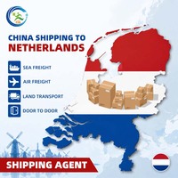 DDP Tür-zu-Tür Logistik-Service Express von China nach Europa Italien Niederlande UPS DHL FEDEX Spediteur