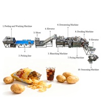Équipement de production de frites en bâtonnets, ligne complète de lavage, découpe et friture de pommes de terre, capacité de 300 à 1000 kg par heure pour usine