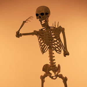 Toptan 165CM İnsan İskeleti Ayakta Durabilir Eklemli Hareketli Cadılar Bayramı Süsü Kafalı Cadılar Bayramı Parti Oyuncakları - Product Image 2