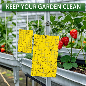 Fabrika sinek tuzak haşere kontrol yapıştırıcı <span class=keywords><strong>Fly</strong></span> böcek tutkal tuzağı tek kullanımlık sarı yapışkan kart tuzak - Product Image 5