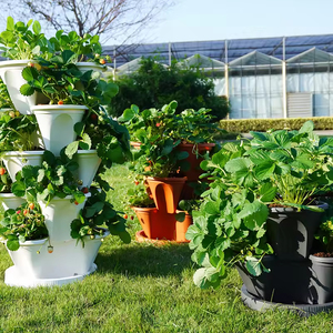 Vertical Mini Honey Pot Plastic Bonsai Resin Tall Outdoor Planters <strong>Vaso</strong> Da <strong>Esterno</strong> for Garden - Product Image 6