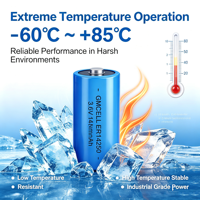 Batterie au chlorure de thionyle de lithium ER14250 ER14335 ER14505 ER17335 ER17505 ER18505 ER26500 ER34615 Batterie primaire Li-SOCl2