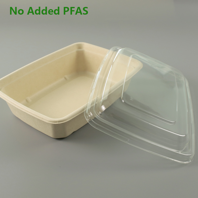 Pfas Free Disposable Bio Food Packaging Rectangle Pulp Containers With Clear Dome Lid