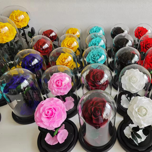 Caja <span class=keywords><strong>de</strong></span> regalo <span class=keywords><strong>de</strong></span> cúpula <span class=keywords><strong>de</strong></span> cristal creativa hecha a mano, venta al por mayor, rosas preservadas para el Día <span class=keywords><strong>de</strong></span> la madre, regalo <span class=keywords><strong>de</strong></span> novia o esposa <span class=keywords><strong>de</strong></span> <span class=keywords><strong>San</strong></span> Valentín - Product Image 5