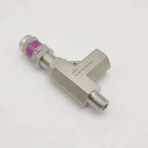 Válvula de Seguridad Weffluid de 1000 Bar, Roscada y Ajustable, para Sistemas de Alta Presión - Product Image 1