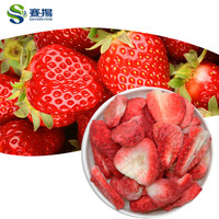 SAIYANG Gedroogd Fruit Snacks Groothandel Aardbei Appel Mango Ananas Jackfruit Lychee Bulk Gedroogd Gemengd Fruit