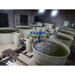 Système d'aquaculture <span class=keywords><strong>de</strong></span> pêche Ras équipement <span class=keywords><strong>de</strong></span> pisciculture <span class=keywords><strong>en</strong></span> vente - Product Image 6