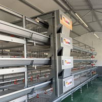 Système de cages à poulets en batterie Agrieso avec collecte manuelle des œufs et du fumier pour l'élevage avicole